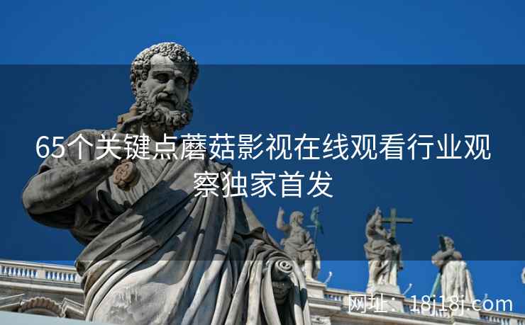 65个关键点蘑菇影视在线观看行业观察独家首发