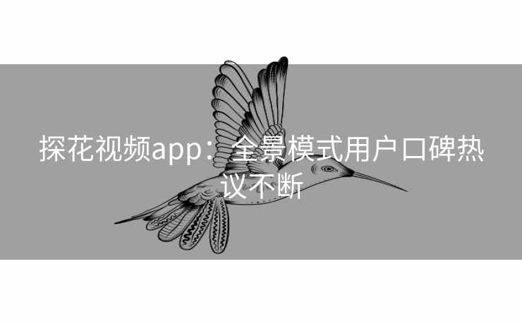 探花视频app：全景模式用户口碑热议不断