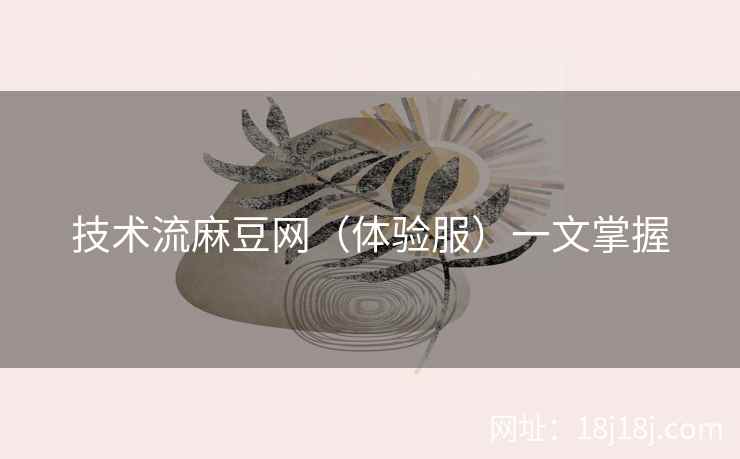 技术流麻豆网（体验服）一文掌握