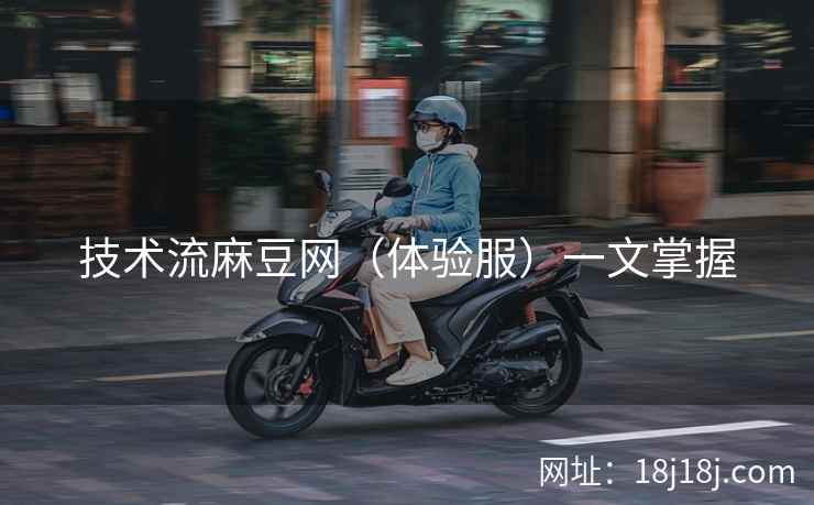 技术流麻豆网（体验服）一文掌握