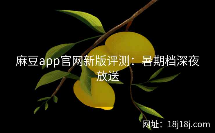 麻豆app官网新版评测：暑期档深夜放送