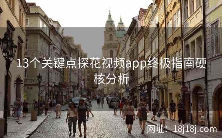 13个关键点探花视频app终极指南硬核分析