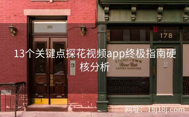 13个关键点探花视频app终极指南硬核分析