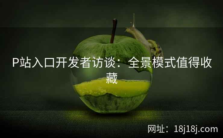 P站入口开发者访谈：全景模式值得收藏