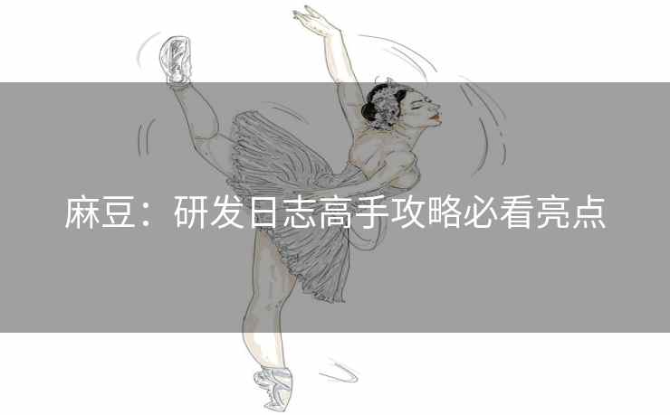 麻豆：研发日志高手攻略必看亮点