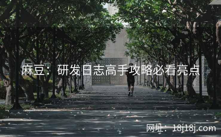 麻豆：研发日志高手攻略必看亮点