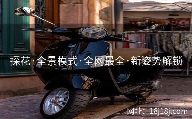 探花·全景模式·全网最全·新姿势解锁