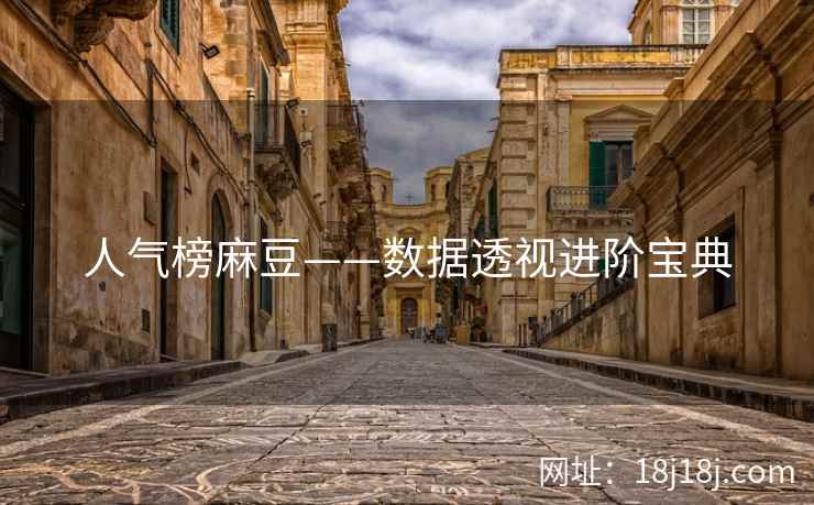 人气榜麻豆——数据透视进阶宝典