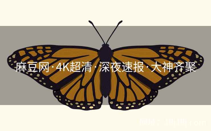 麻豆网·4K超清·深夜速报·大神齐聚