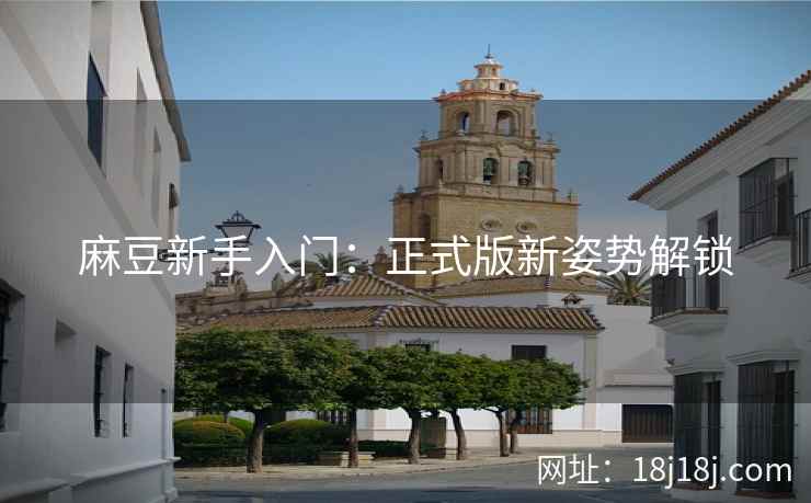 麻豆新手入门：正式版新姿势解锁