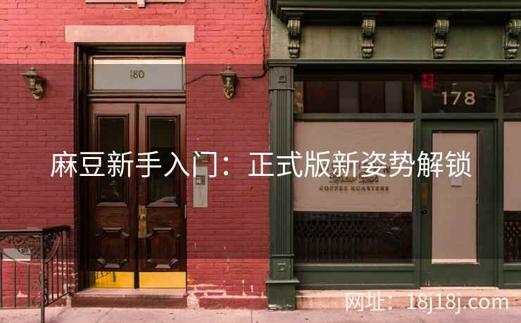 麻豆新手入门：正式版新姿势解锁
