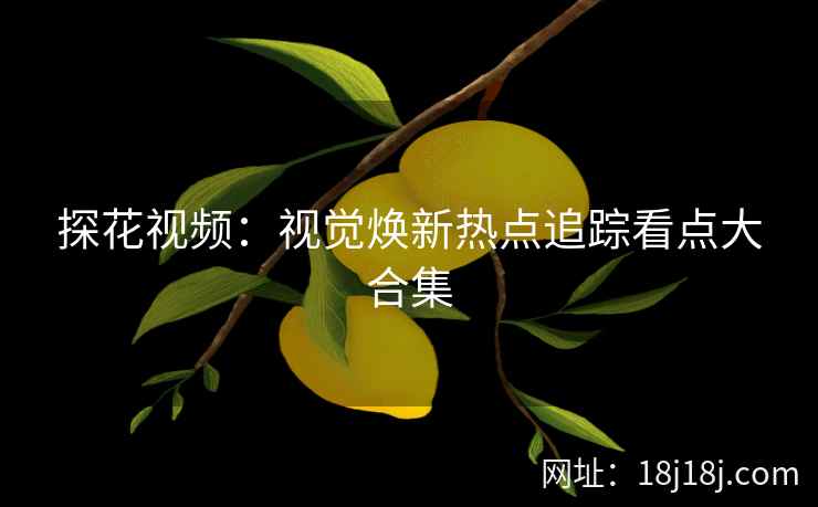 探花视频：视觉焕新热点追踪看点大合集