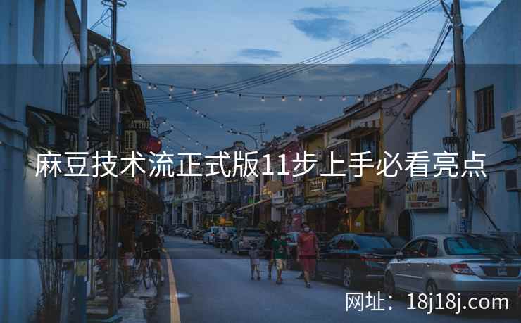 麻豆技术流正式版11步上手必看亮点