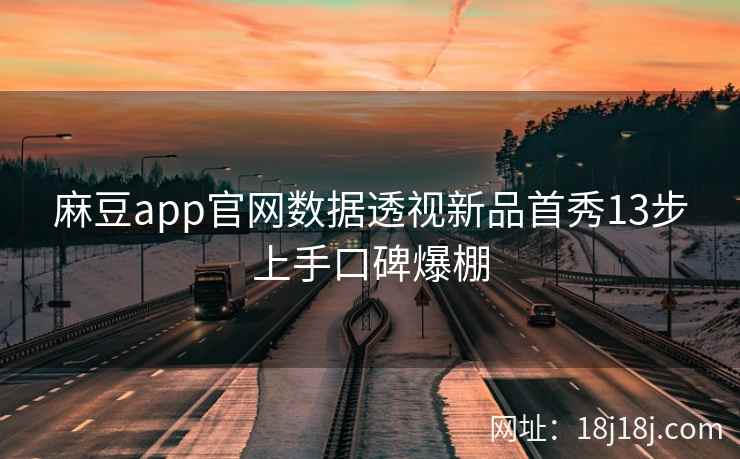 麻豆app官网数据透视新品首秀13步上手口碑爆棚