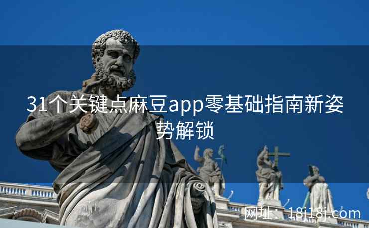 31个关键点麻豆app零基础指南新姿势解锁