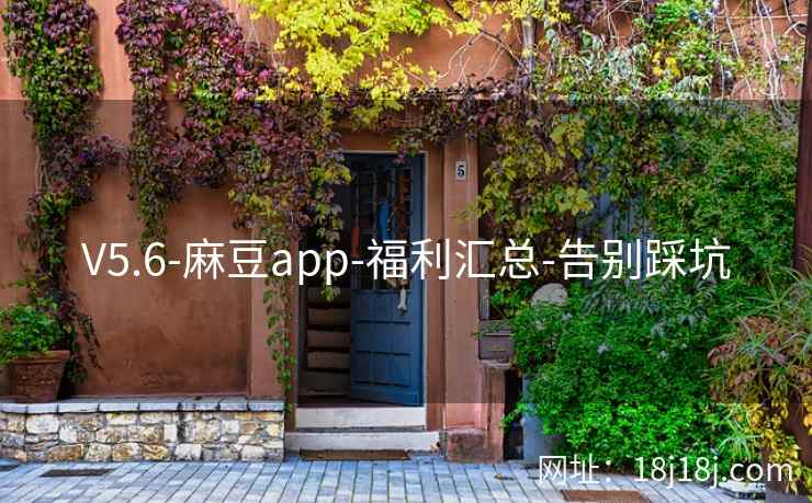 V5.6-麻豆app-福利汇总-告别踩坑
