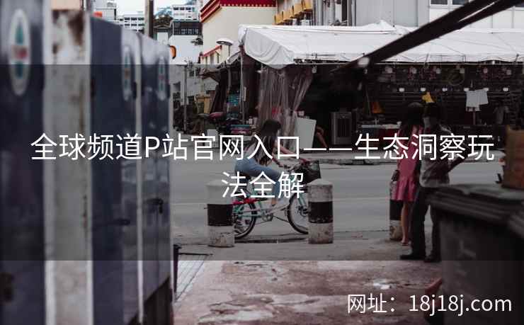 全球频道P站官网入口——生态洞察玩法全解