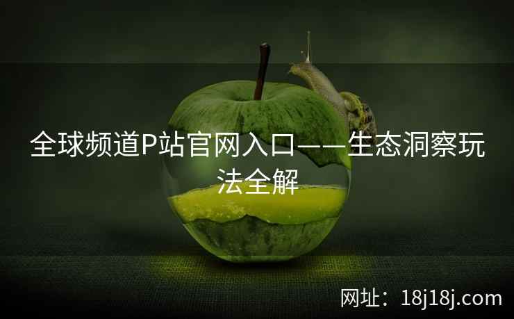 全球频道P站官网入口——生态洞察玩法全解