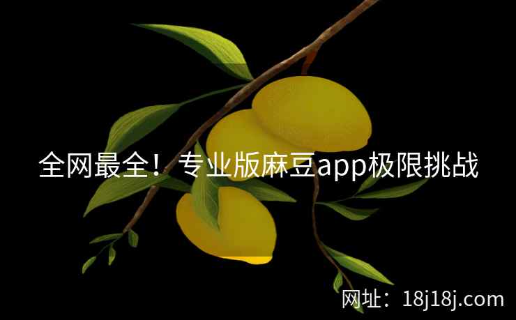 全网最全！专业版麻豆app极限挑战