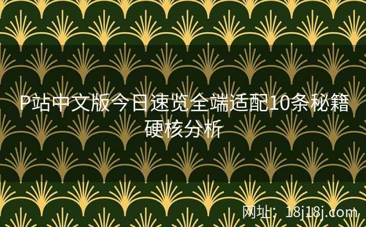 P站中文版今日速览全端适配10条秘籍硬核分析