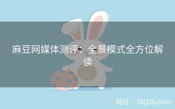 麻豆网媒体测评：全景模式全方位解读