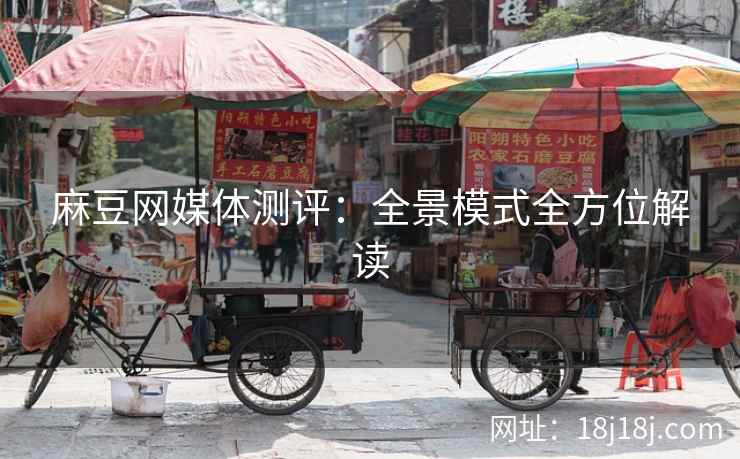 麻豆网媒体测评：全景模式全方位解读