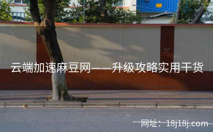 云端加速麻豆网——升级攻略实用干货